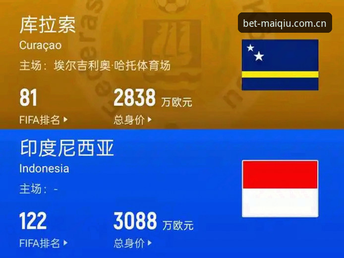 世界杯买球平台最新版使用教程：从安装到实战的完整操作指南